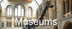 museum - places to go in Shropshire
