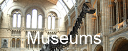 museum - places to go in Devon