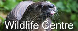 wildlife-centre - places to go in Devon