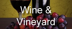 wine - places to go in Cornwall