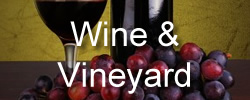 wine - places to go in Cambridgeshire