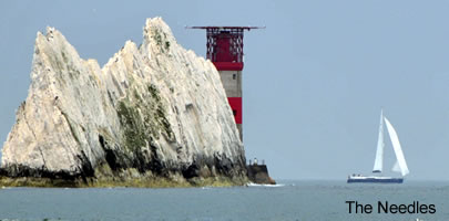 The needles